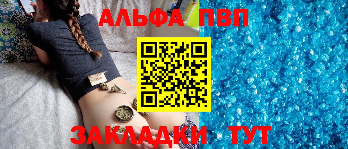 А ПВП крисы CK Курчалой