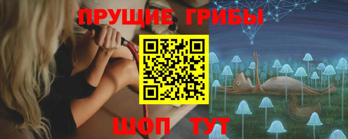 Галлюциногенные грибы Cubensis Курчалой